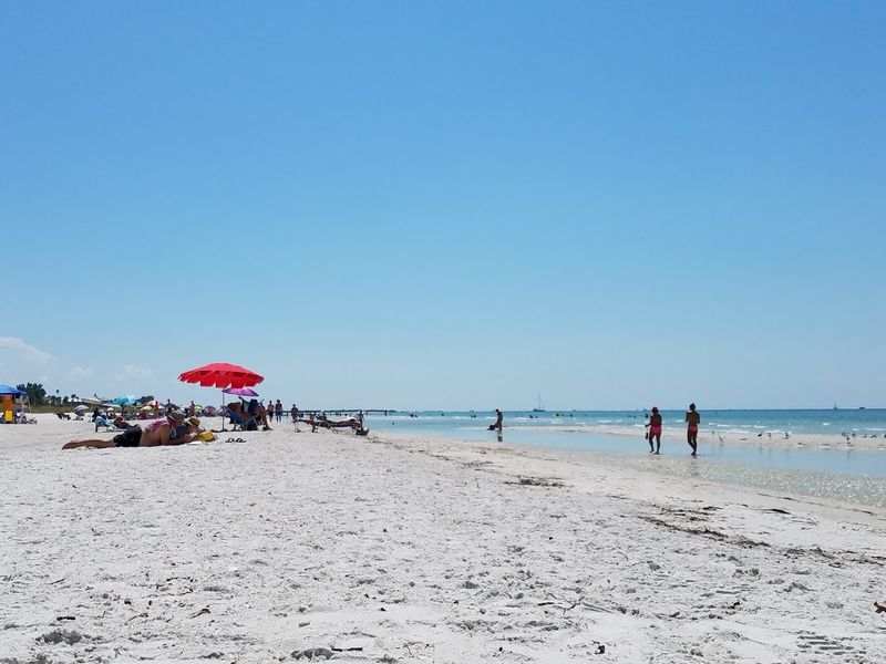 The Florida spot locals love when they want a break from crowds, traffic, and noise 11 Wildlife Watching: Nature is Everywhere You Look