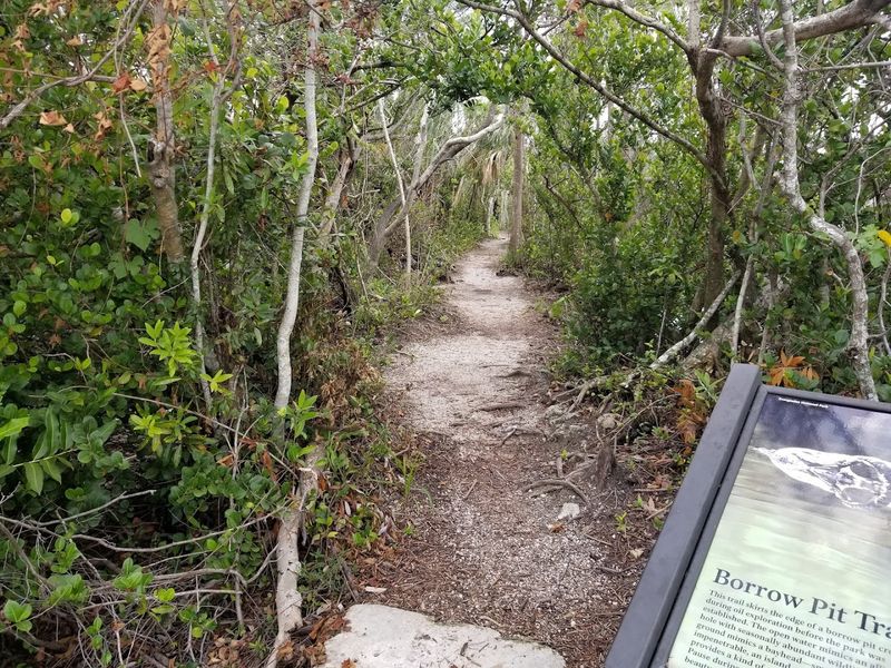 Hike to This Florida Overlook That Resembles a Mini Space Needle 10 What to Pack for the Hike or Bike Ride to the Tower