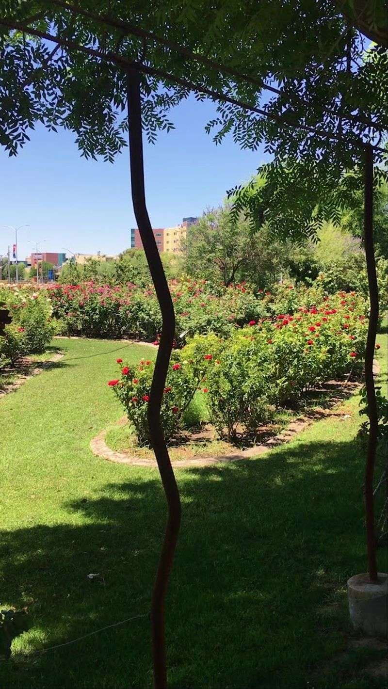 A Photographer's Dream Location