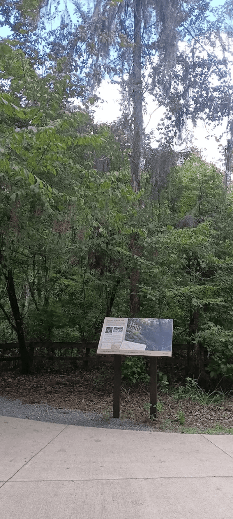 What to Wear and Bring: Packing Smart for the Millhopper Trail