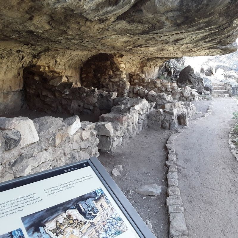 Rangers and Volunteers — The Heart of the Experience