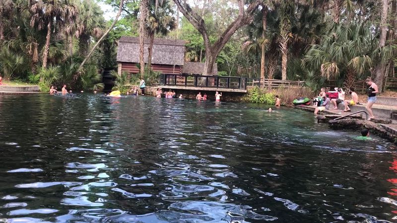 What to Pack for Your Juniper Springs Trip
