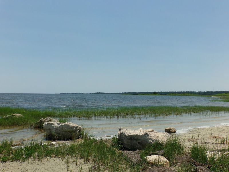 St. Marks National Wildlife Refuge - Florida