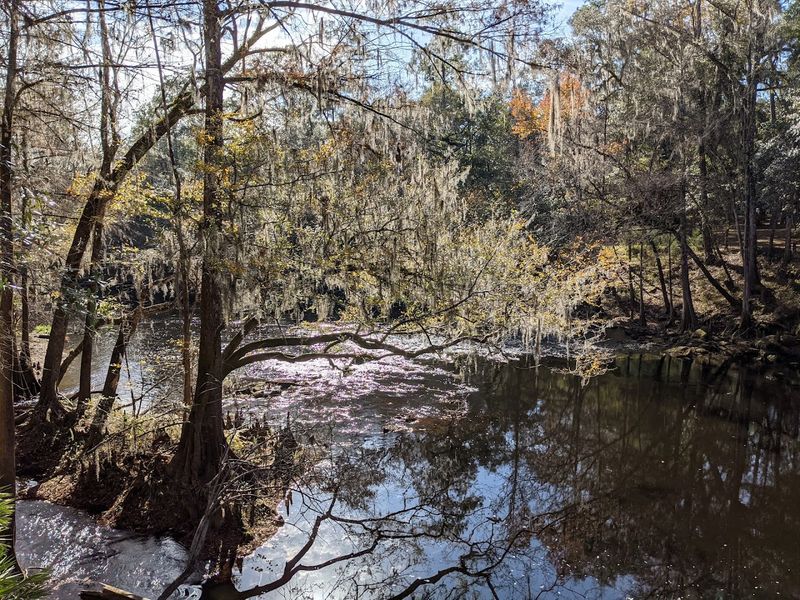 Fishing Along the Quiet Banks of the River