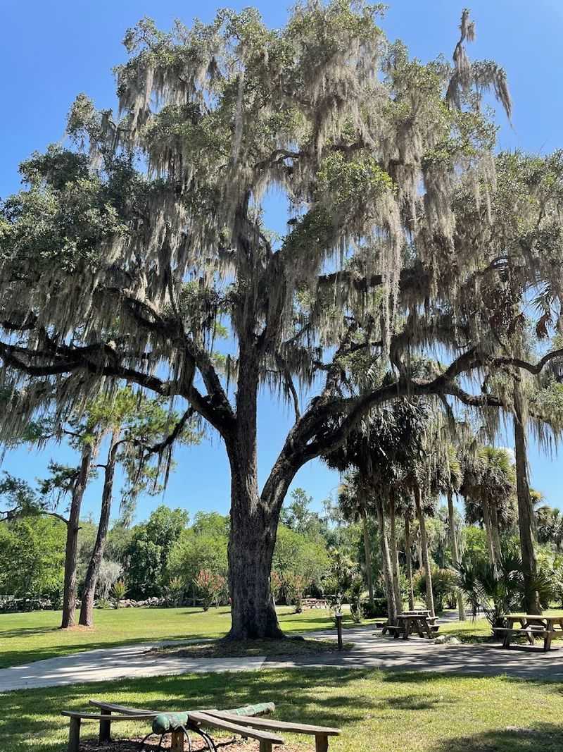 Picnic Areas and Family Relaxation Spots