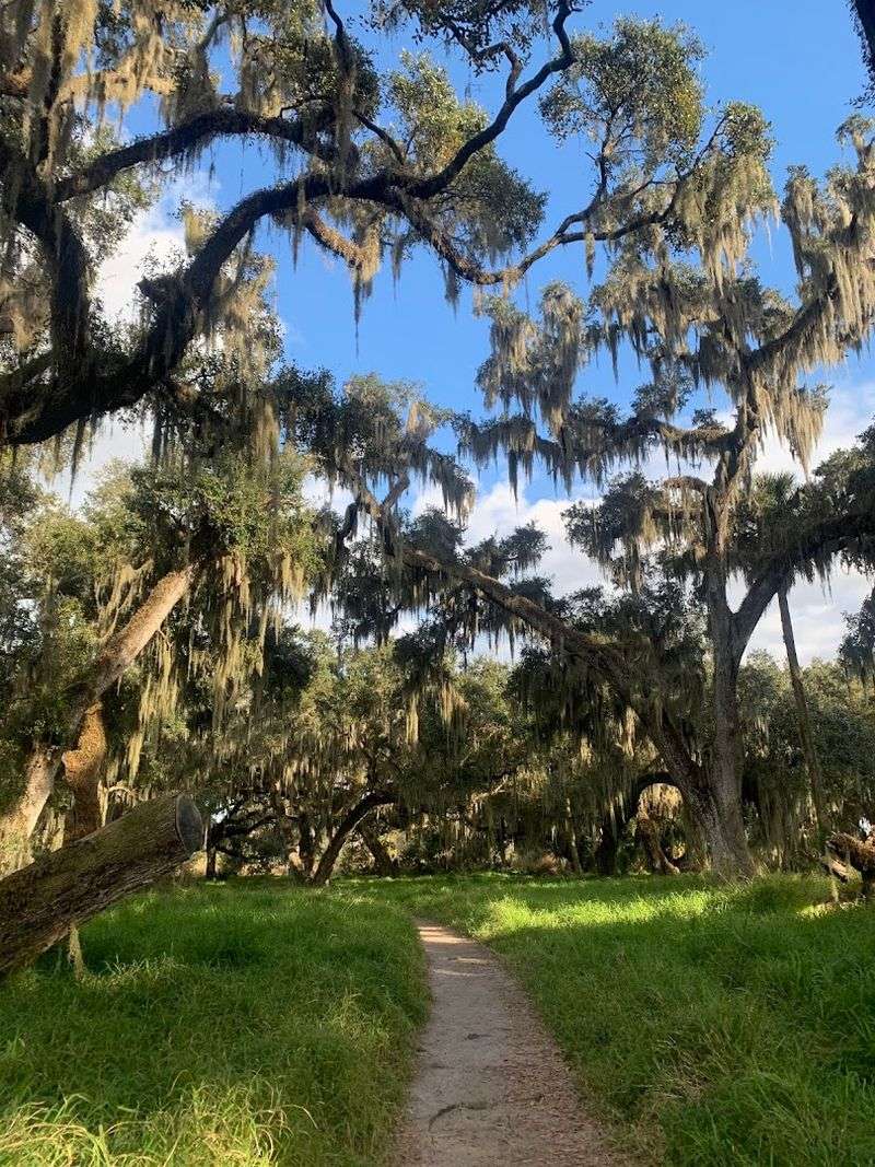 Multiple Trails for Every Type of Explorer