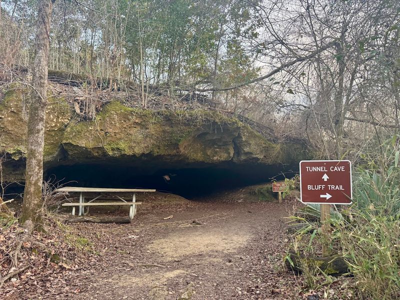 Camping at Florida Caverns State Park