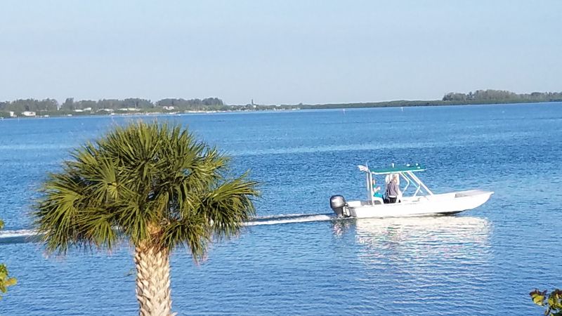 Tarpon Fishing Capital of the World: A Title Earned, Not Marketed