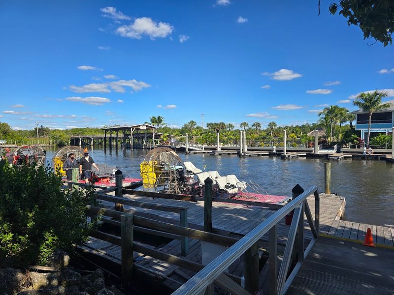 9 Things to Do in Florida After You've Done Everything Else 7 Everglades City Airboat Tours - Everglades City, Florida
