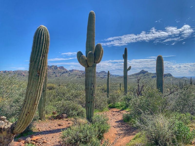 Gear Up Before You Go