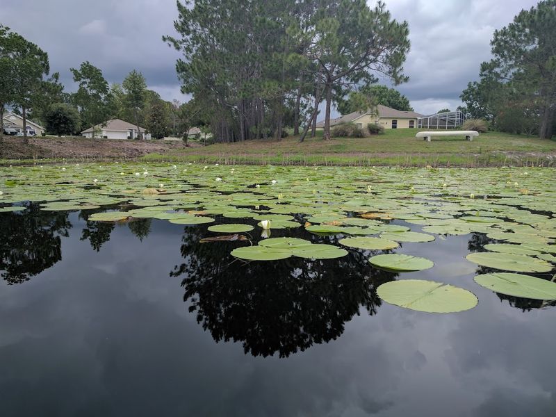 Deltona - Deltona, Florida