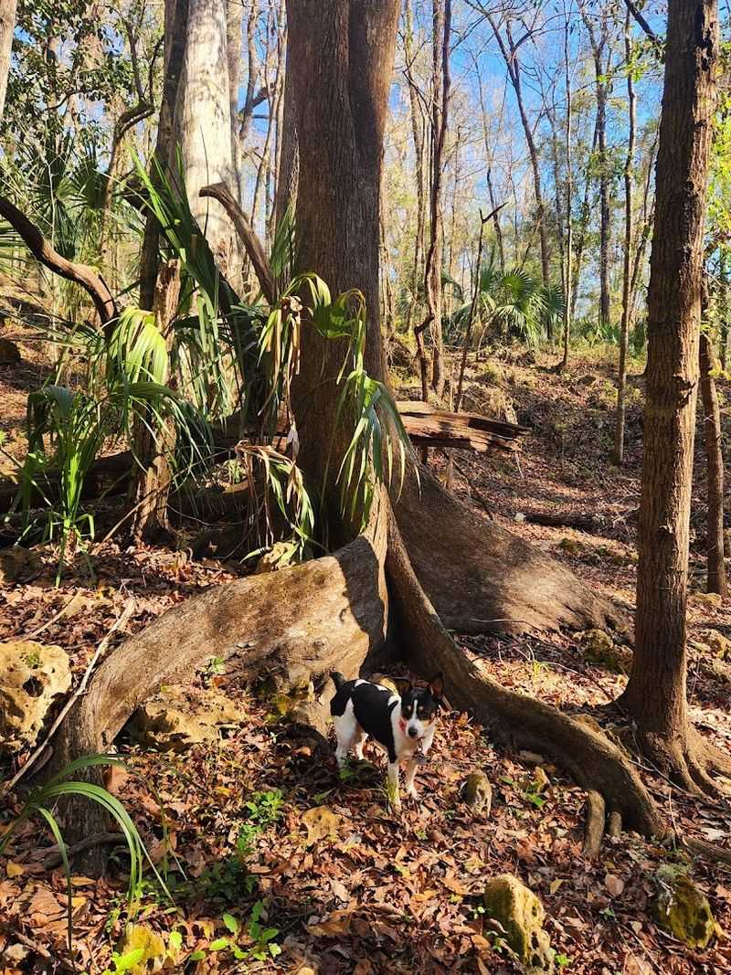 Tips for Hiking the Trail Successfully