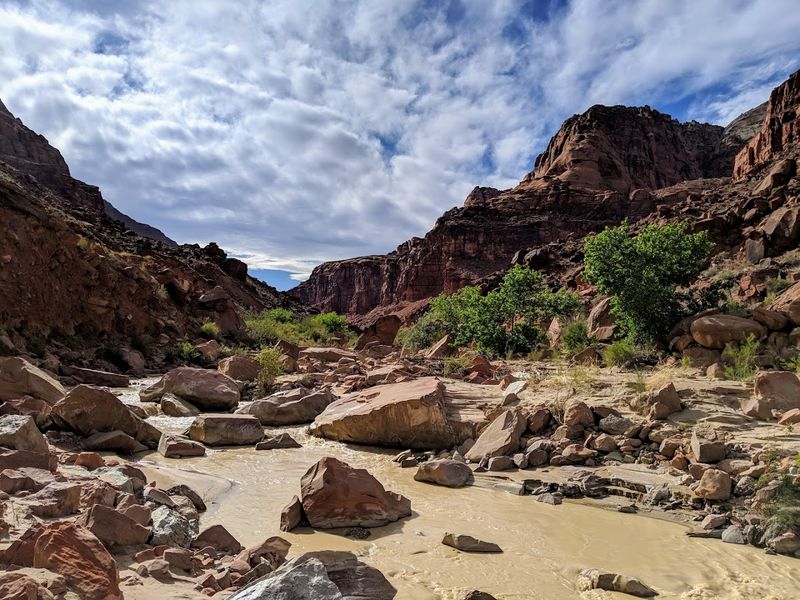 Paria Canyon Wilderness: A Backpacker's Dream