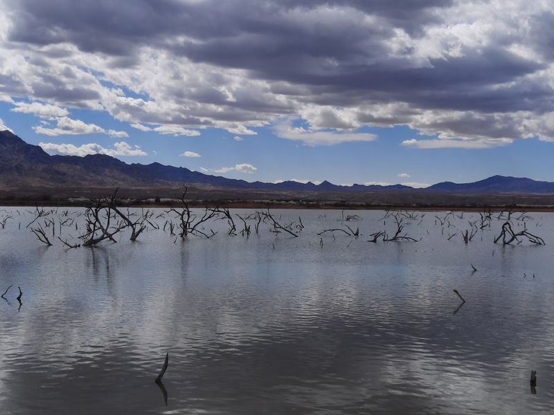 Havasu National Wildlife Refuge - Needles, California