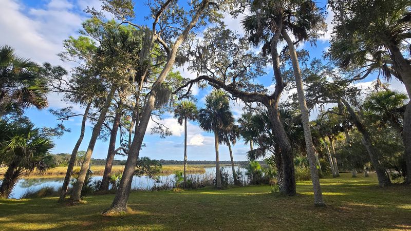 Wildlife You Might Spot Along the Way