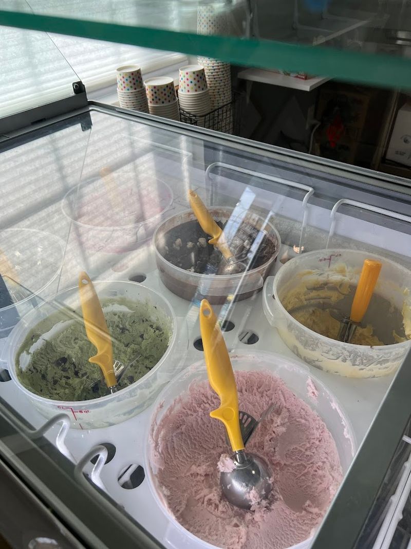 This Little-Known Texas Ice Cream Shop Serves What Might Be the Best Sorbet in the South 5 Coconut Gelato With Real Coconut Flakes