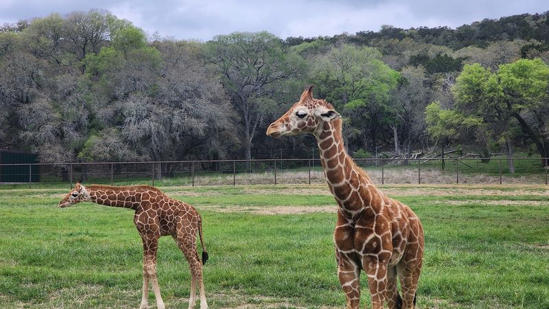 Best Time to Visit for the Ideal Experience