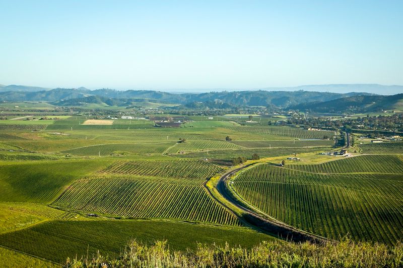 Wine Country Right at Your Doorstep