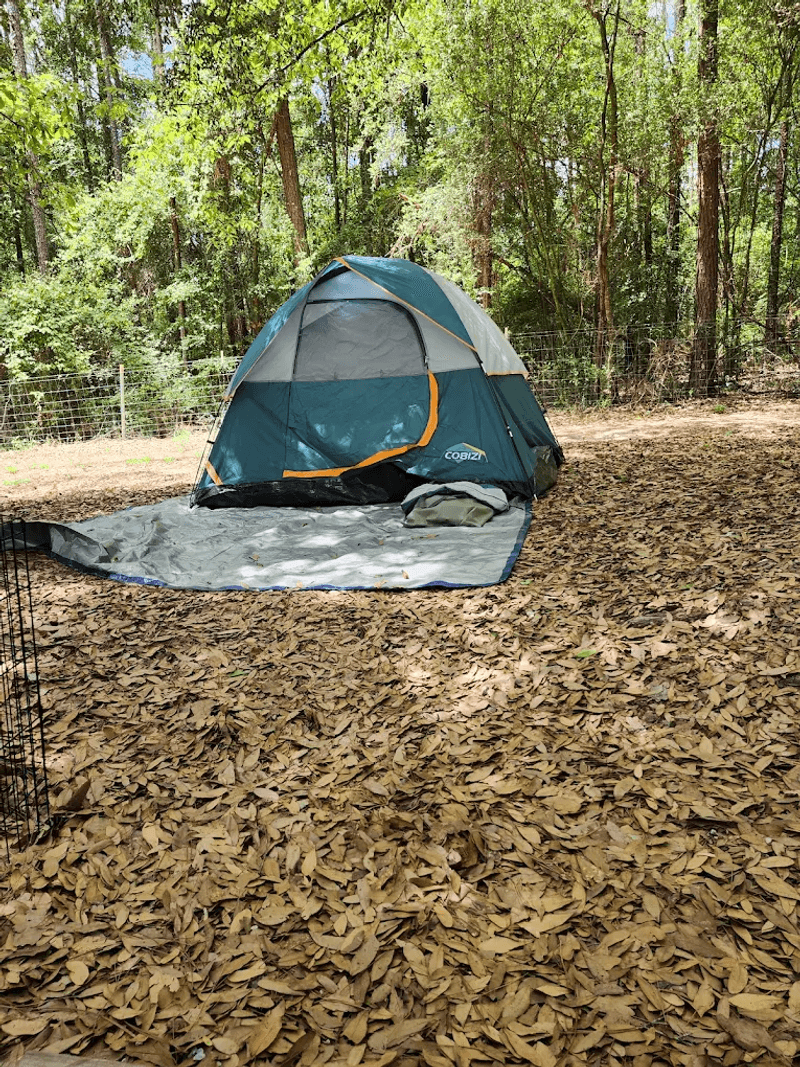 Camping Under the Stars at the Onsite Campground