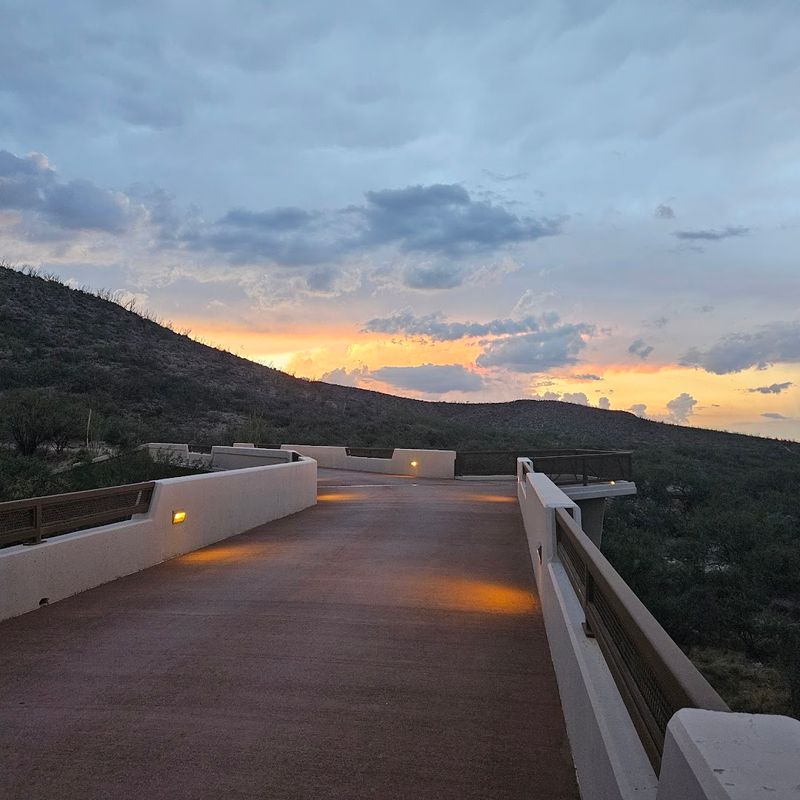 Accessibility Features That Make the Cave Inclusive