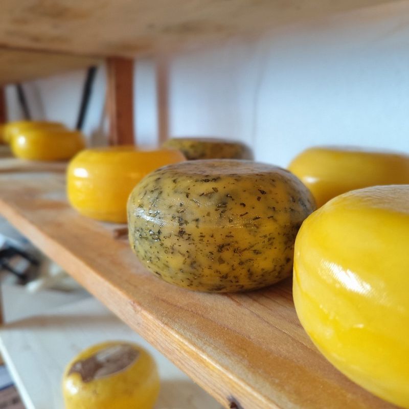 Wax-wrapped cheese portions