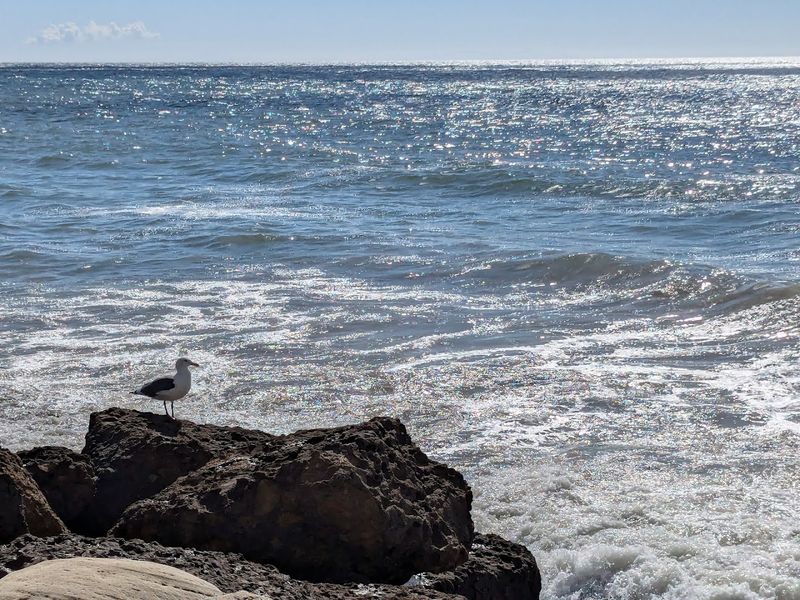 Duke's Malibu - Malibu, California