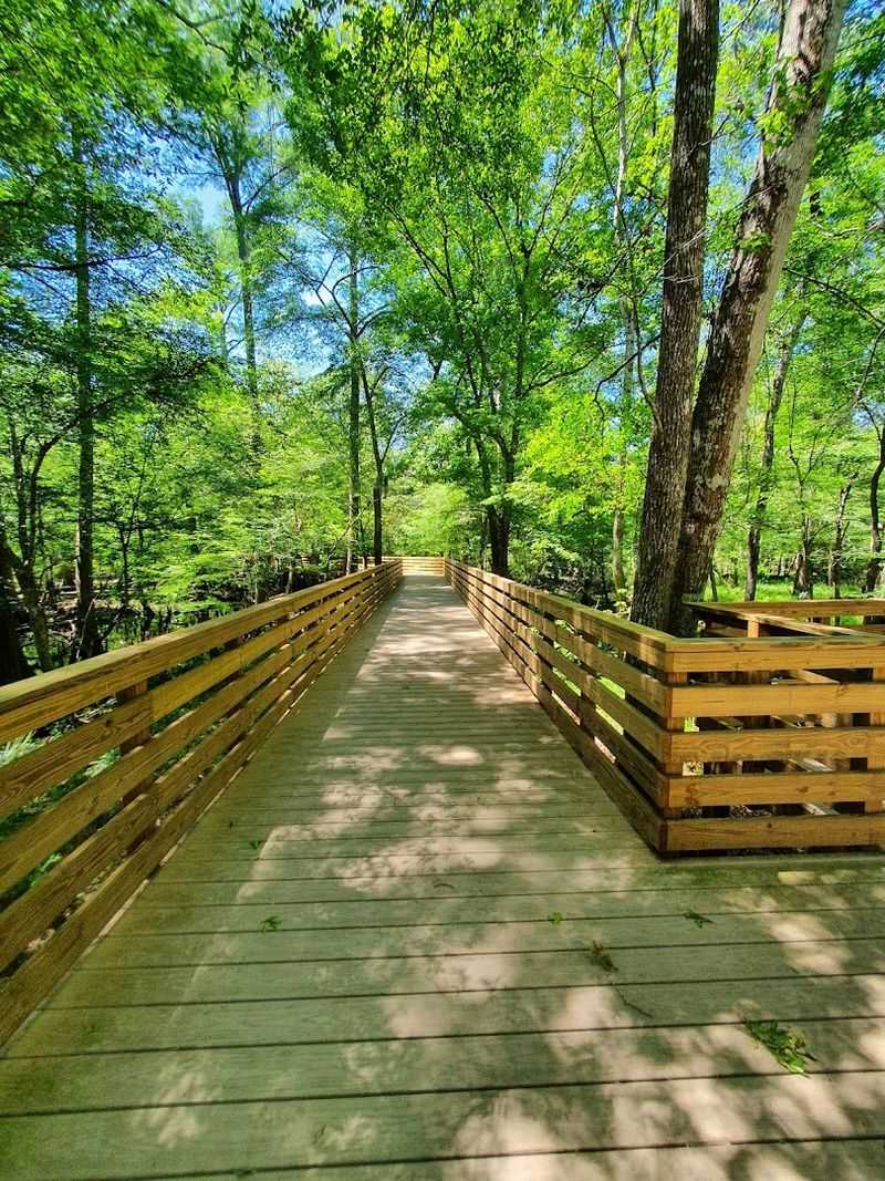 A Scenic Boardwalk Leading Straight to the Spring