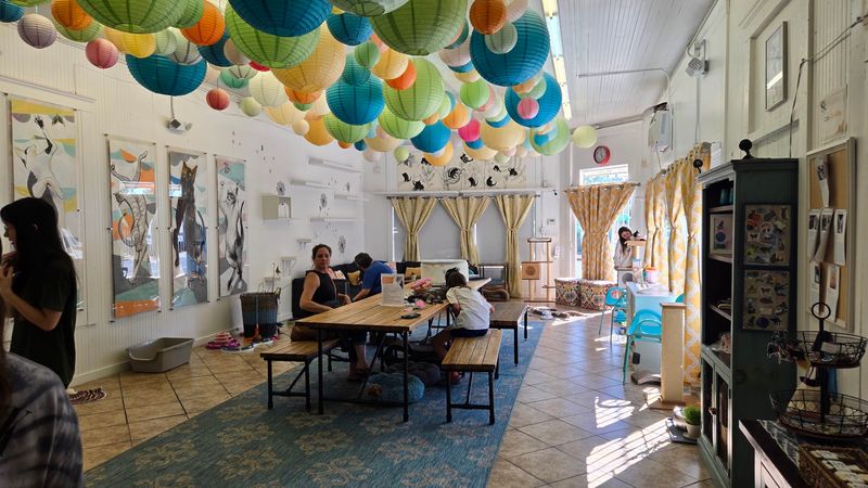 The Dancing Cat - San Jose, California