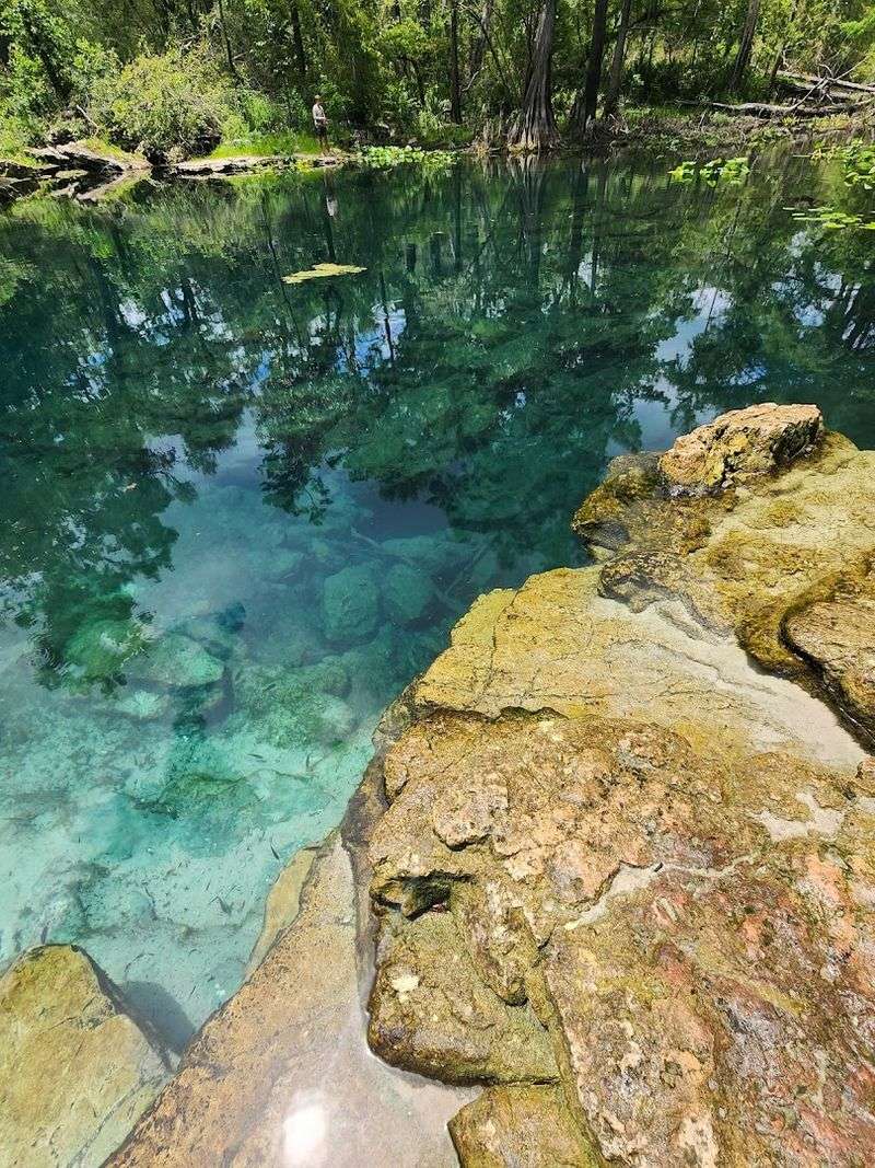 Three Distinct Springs, Each With Its Own Personality