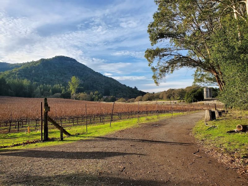 This quiet California wine country spot feels like a secret people are struggling not to share 10 The Oldest Vineyards in Sonoma Valley