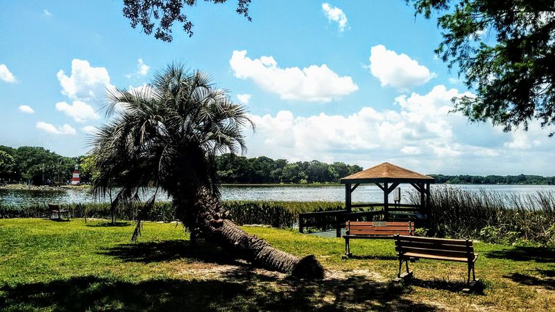 Bike Trails and Outdoor Adventures Around the City