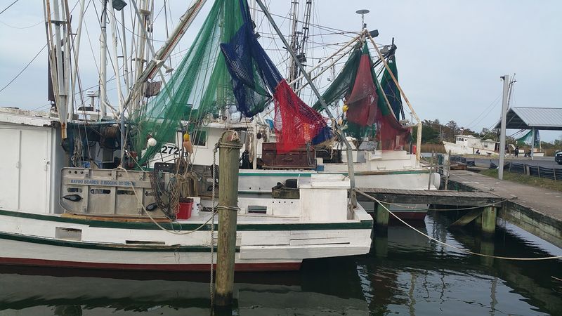 This Florida beach town has the kind of charm people wish the rest of the country still had 13 The Seafood Festival That Puts the Town on the Map Every Year