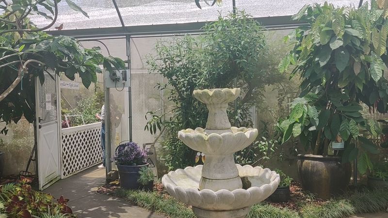 Garden Design Services for Every Vision