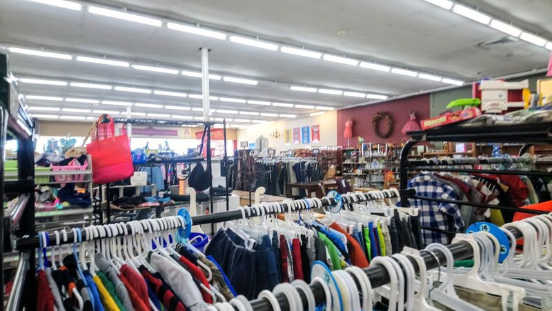 Friendly Staff and Volunteers Who Actually Care