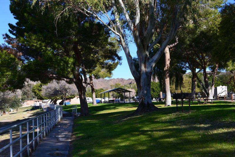 A Dog Park That Pets Absolutely Adore