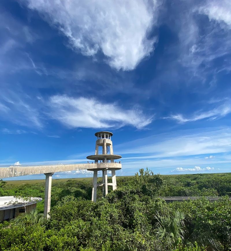 Hike to This Florida Overlook That Resembles a Mini Space Needle 8 360-Degree Views From the Top: What You Actually See