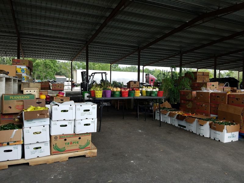 This Florida greenhouse destination is where plant lovers go when basic garden centers no longer impress them 13 A Living Piece of Plant City History