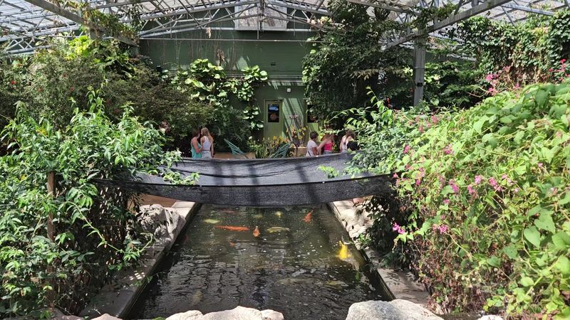 The Koi Pond and Tropical Waters Aquarium Experience