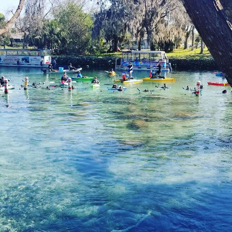 World-Class Scalloping Season