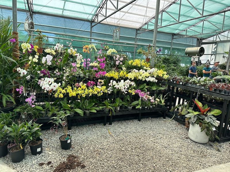 Plant Guarantee That Builds Real Trust