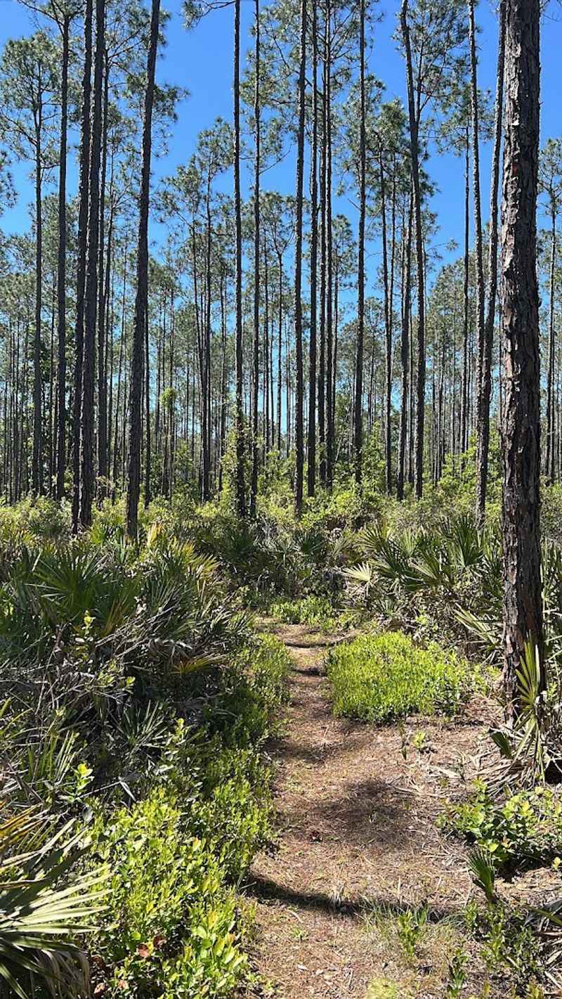 Multiple Ecosystems Along the Route