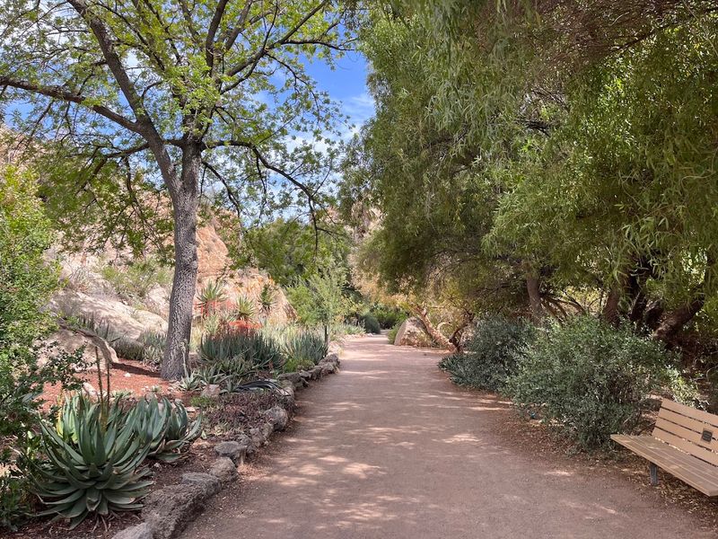 These Arizona Desert Garden Trails Are at Their Absolute Best This Spring 3 Boyce Thompson Arboretum - Superior, Arizona