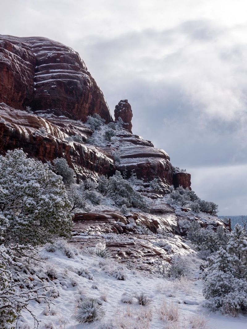 Best Time to Visit for the Ultimate Experience