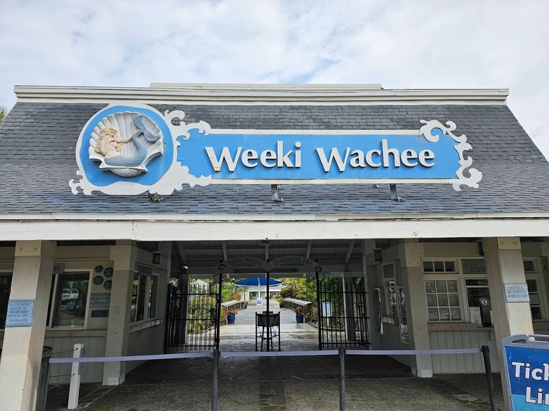 Weeki Wachee Mermaid Show - Spring Hill, Florida