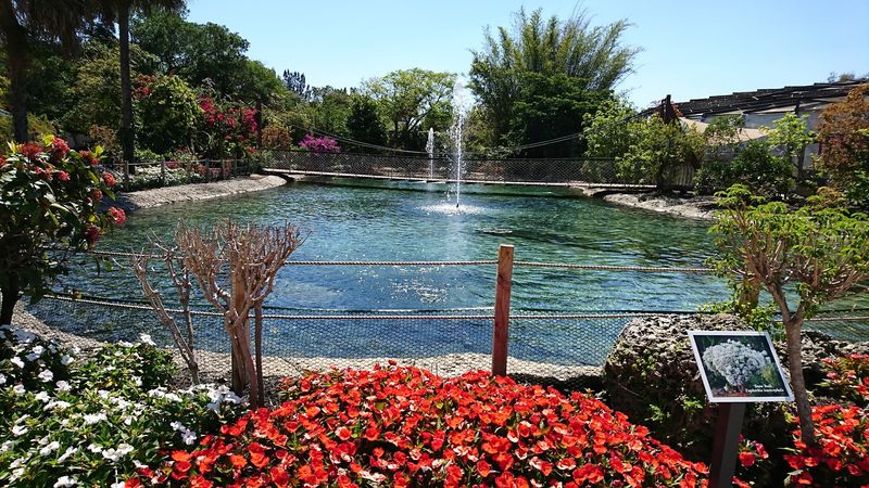 The World's Largest Butterfly Park Is This 10-Acre Conservatory in Florida 8 Why Weekday Visits Are a Total Game Changer
