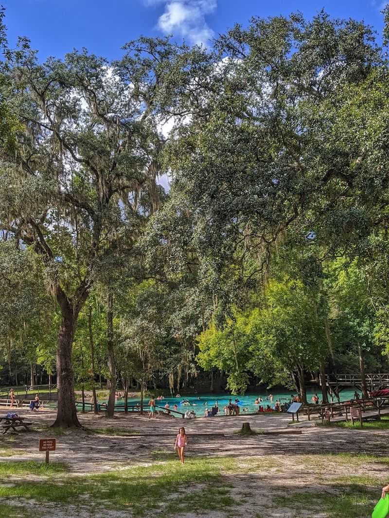 This hidden Florida spring is so clear and beautiful people cannot believe it is still this peaceful 13 Volleyball Nets and Recreational Amenities for Active Visitors