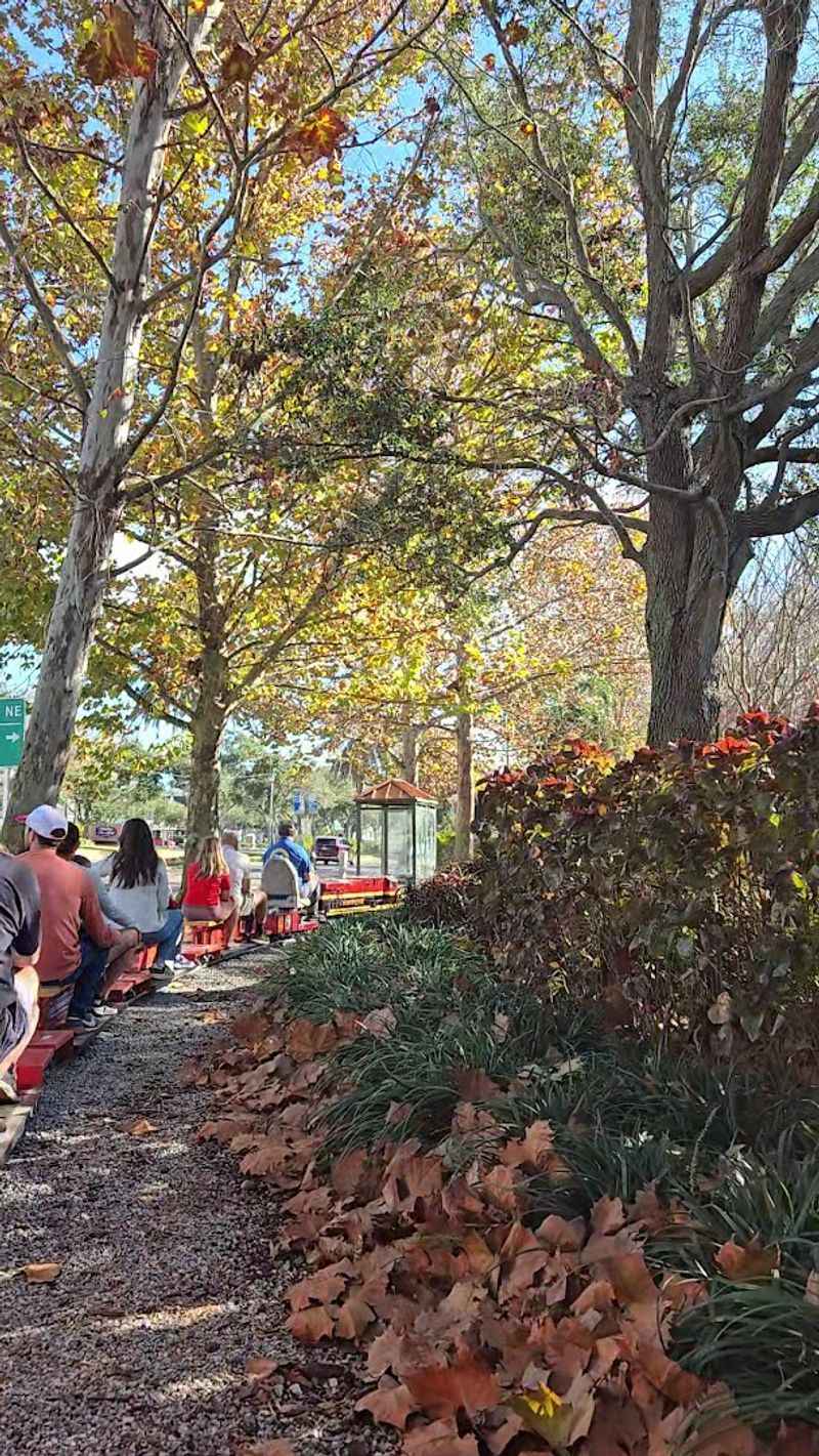 Largo Central Park: The Perfect Backdrop for a Family Day