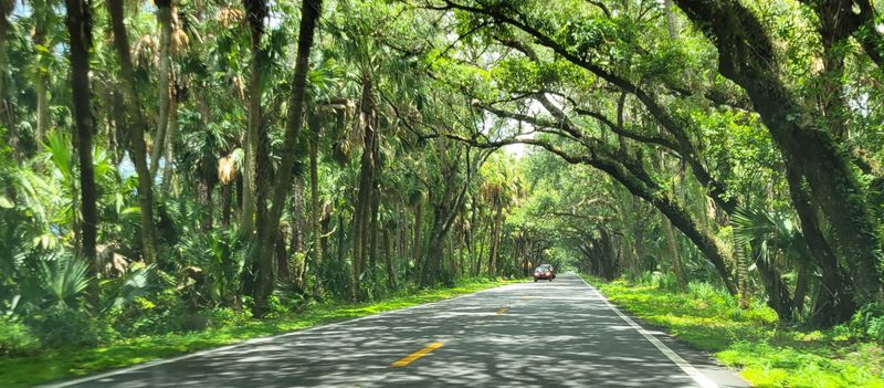 How This Road Compares to Instagram Expectations