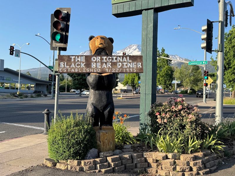 Black Bear Diner Mt. Shasta - Mt Shasta, California