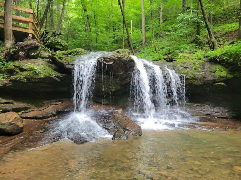 Frozen Head State Park - Wartburg, Tennessee